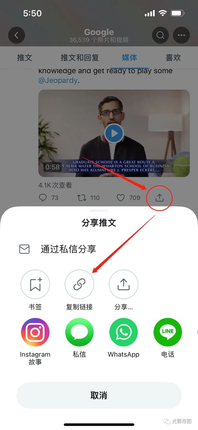 【twitter小技巧】簡單三步解決推特app上視頻怎么保存的問題(圖3)