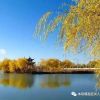 【安徽六安】2022六安市【房補(bǔ)20w+5k—月】裕安區(qū)引進(jìn)事業(yè)單位人才100人公告(圖1)