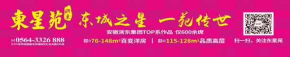 金開區重拳出擊，繼續加大環保督查力度力求讓六安更美更亮(圖2)
