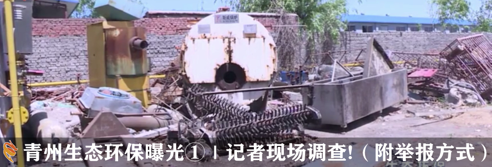 青州生態(tài)環(huán)保曝光②｜記者現(xiàn)場(chǎng)調(diào)查！路邊垃圾堆、養(yǎng)殖場(chǎng)、餐飲店……(圖7)