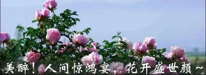 中鋪鎮(zhèn)開(kāi)展砂石資源加工銷售違法違規(guī)行為大檢查大整治行動(dòng)(圖8)