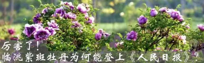 中鋪鎮(zhèn)開(kāi)展砂石資源加工銷售違法違規(guī)行為大檢查大整治行動(dòng)(圖9)
