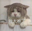 2022年家用烤箱推薦大全，附長帝、美的、格蘭仕、蘇泊爾、西門子、松下、博世、老板、華帝、方太、北美等各大品牌20款不同價位烤箱推薦（建議收藏）(圖2)