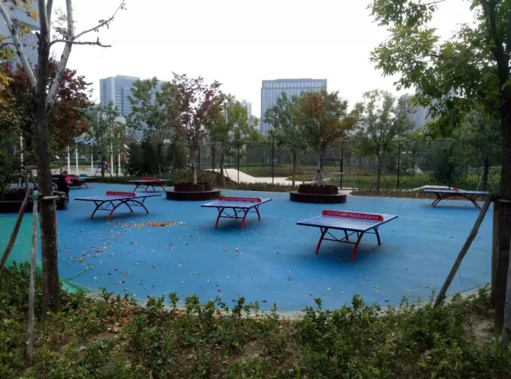 鄭州最好公園！大人能跑步，小孩能玩沙，設備全進口，不收門票！(圖11)