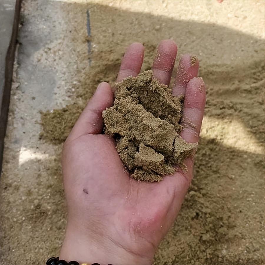 三槽輪斗式洗砂機帶你體驗節(jié)水生產(chǎn)模式(圖2) 三槽輪斗式洗砂機帶你體驗節(jié)水生產(chǎn)模式(圖2)