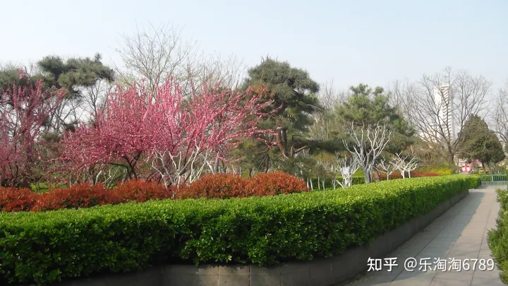 泰安:它是“皇城根里第一條街”,是泰安最繁華老街之一,如今還殘存些許影子,現(xiàn)卻幾無人知!(圖7) 泰安:它是“皇城根里第一條街”,是泰安最繁華老街之一,如今還殘存些許影子,現(xiàn)卻幾無人知!(圖7)
