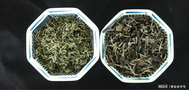 我為泰安老字號代言（六）—泰山茶溪谷?茶溪谷農業發展有限公司(圖3)