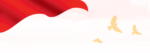 【愛(ài)安海】2020年安海實(shí)現(xiàn)防疫和發(fā)展雙勝利(圖4)