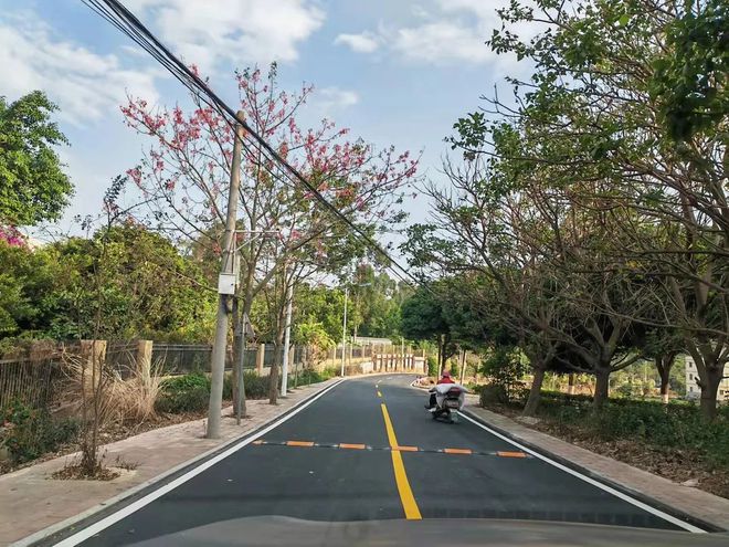 投資250多萬元！惠安這個村：鄉村道路“白改黑”鄉村振興“添新顏”(圖2)
