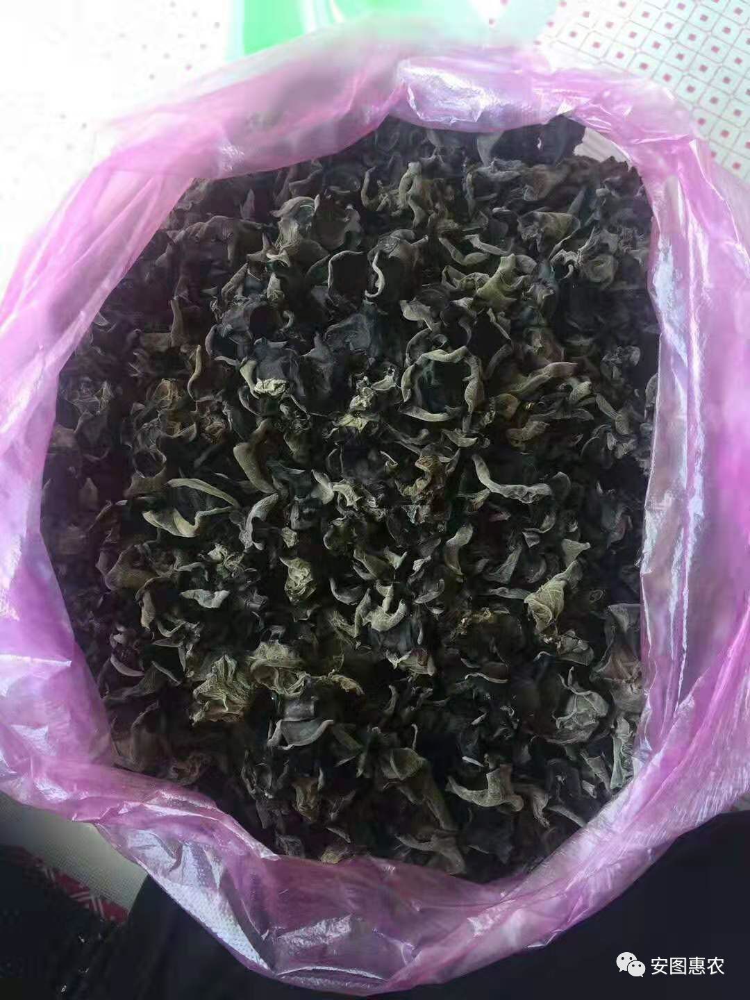 【供求信息】綜合(11.11)如您需要發布供求信息，請在文章下方留言(圖8)